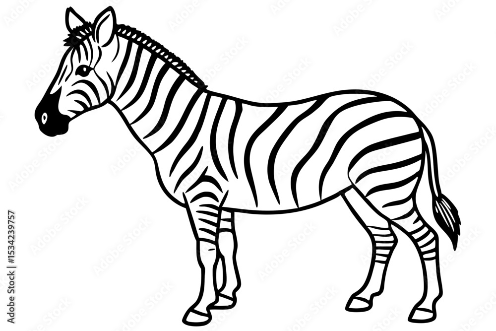 Obraz premium Zebra Motion Line Art