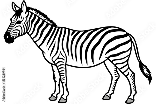 Zebra Motion Line Art