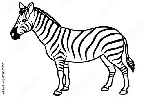 Zebra Motion Line Art
