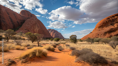 australian-outback-with-red-rock-and-dry-scrub----