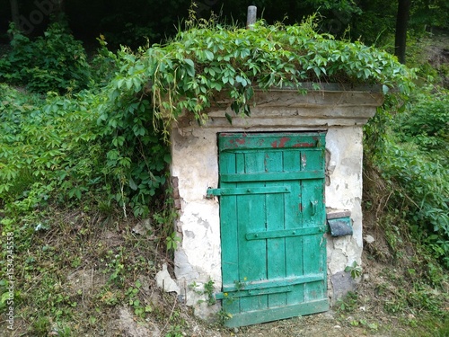 old house in the forest 
