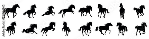 set of silhouettes of horse. horses running. isolated on transwhite parent background