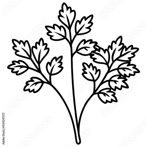 Cress line art vector