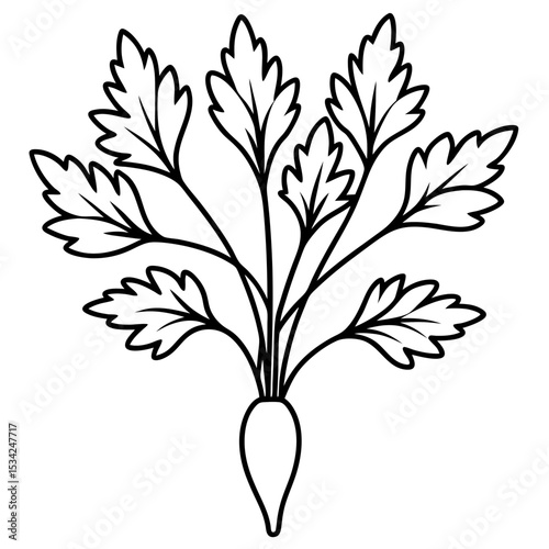 Cress line art vector