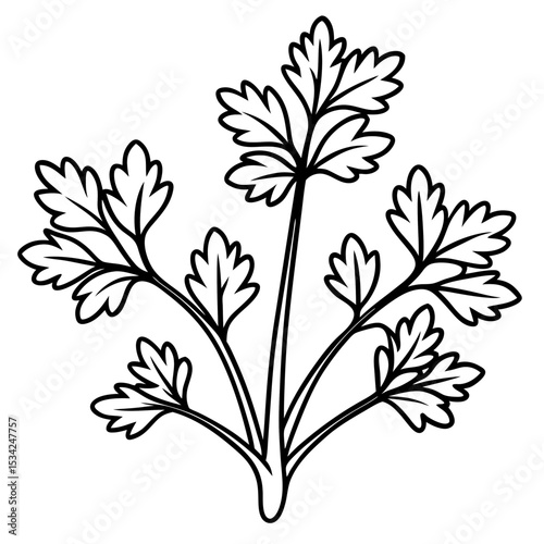 Cress line art vector