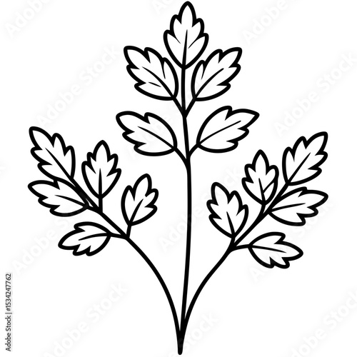 Cress line art vector