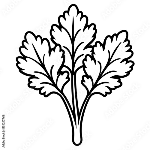 Cress line art vector