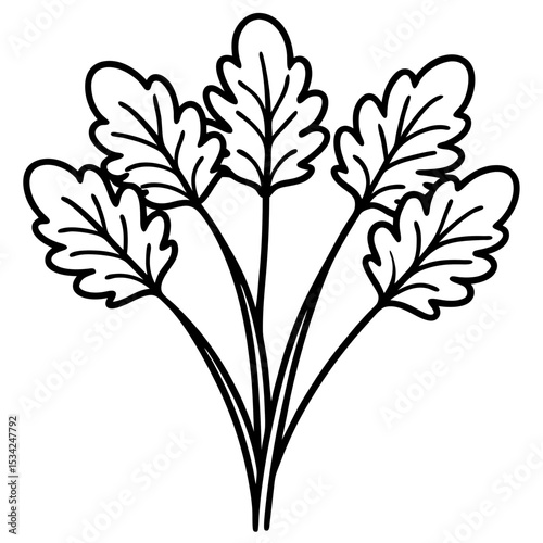 Cress line art vector