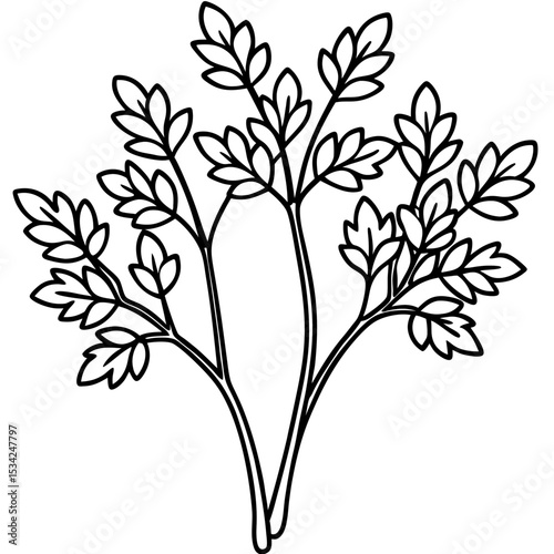 Cress line art vector