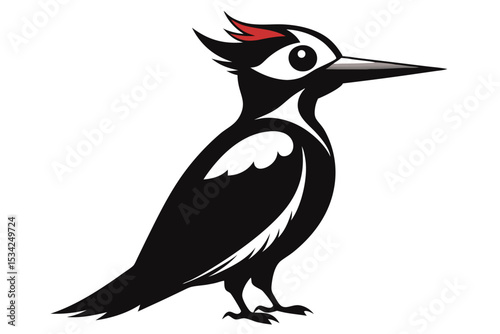 woodpecker sihouette black vector 