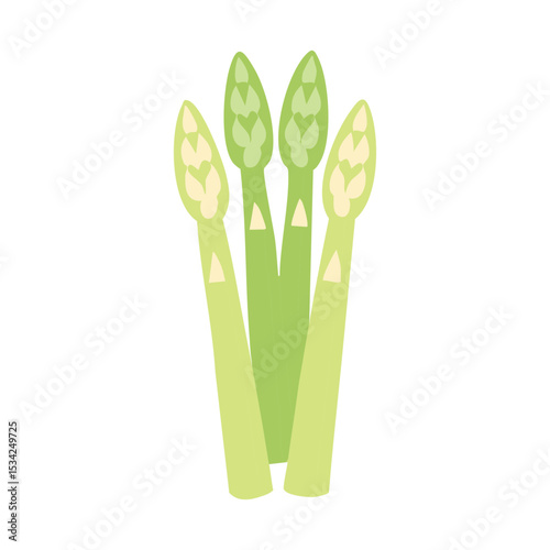 Vibrant green asparagus spears in minimalist illustration