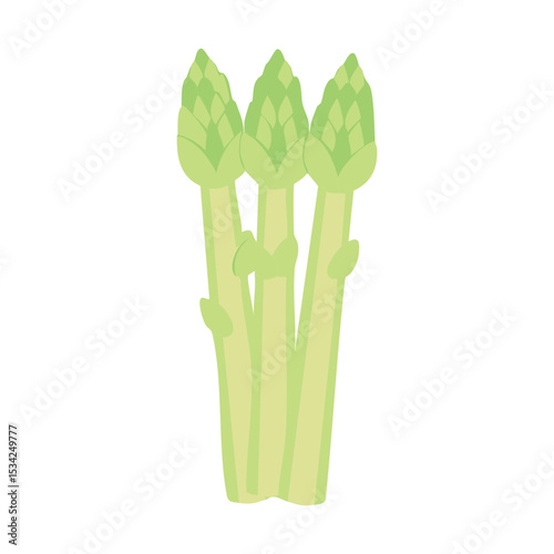 Fresh asparagus spears in green color against the neutral background, ready for culinary delight
