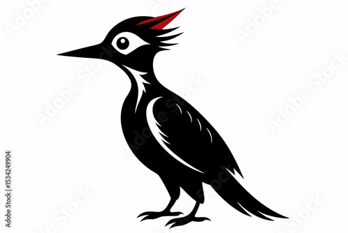 woodpecker sihouette black vector 