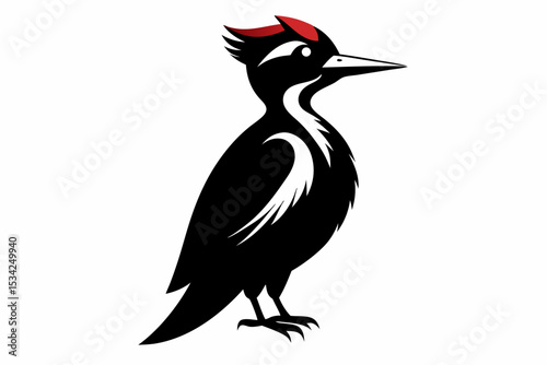 woodpecker sihouette black vector 