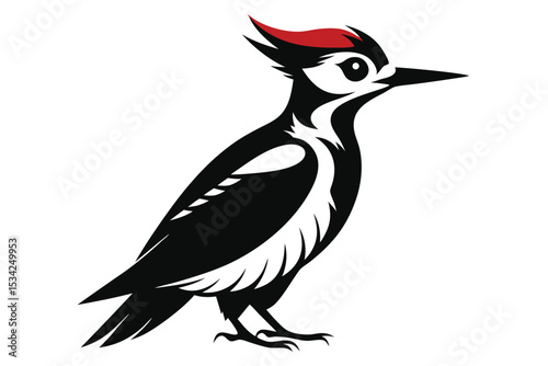 woodpecker sihouette black vector 