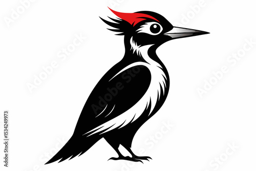 woodpecker sihouette black vector 