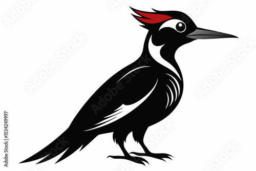 woodpecker sihouette black vector 