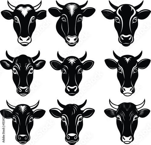 cow head vector bundle 