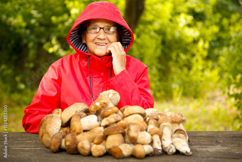A happy elderly woman in a red coat has collected porcini mushrooms and is sitting at a table in the park. An old mushroom picker in a red raincoat poses for the camera in nature.