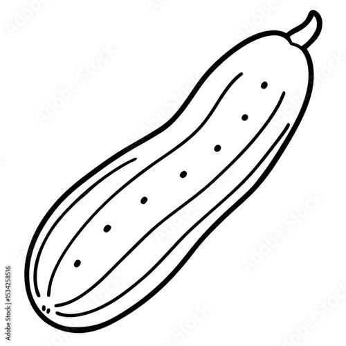 Cucumber line art vector