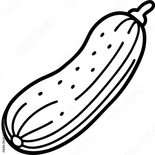 Cucumber line art vector