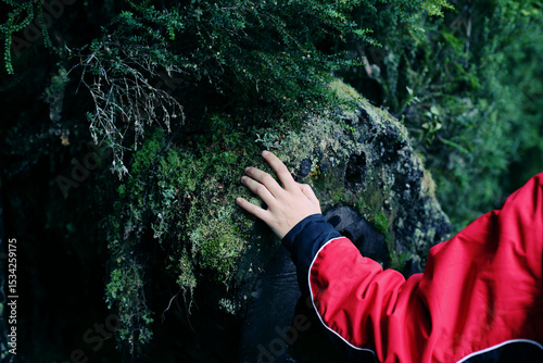 Hand touching moss on a rock face
