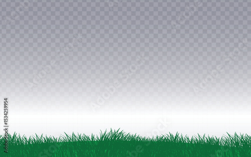 A vibrant, flat green grass border with varying blade heights is presented as a stylized vector illustration. Set against a transparent background, this versatile graphic is ideal for adding a natural