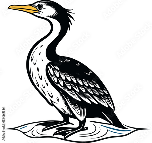Cormorant Bird Vector Line Drawing for Design