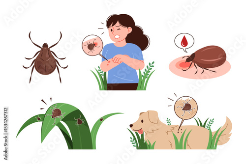A person and a dog bitten by a tick. A collection of tick illustrations.