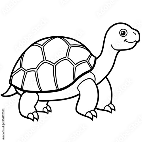 Elegant Tortoise Outline
