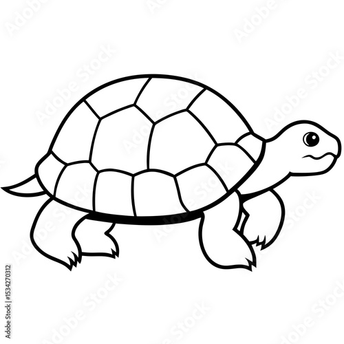 Elegant Tortoise Outline