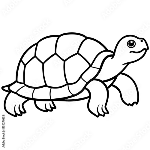 Elegant Tortoise Outline