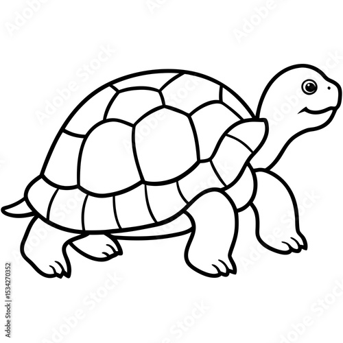 Elegant Tortoise Outline