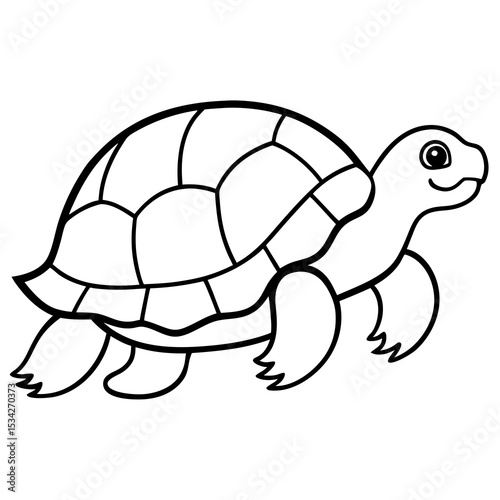 Elegant Tortoise Outline