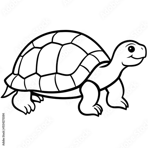 Elegant Tortoise Outline