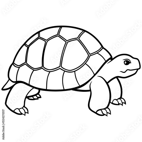 Elegant Tortoise Outline