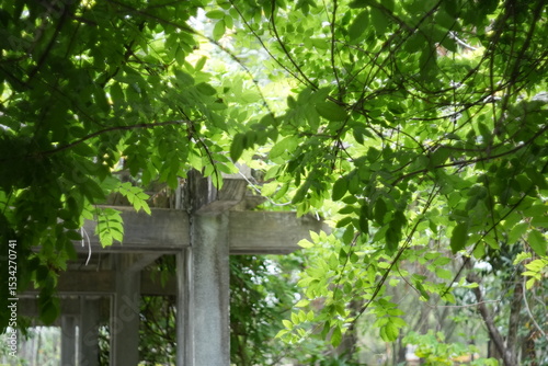 old wooden cross