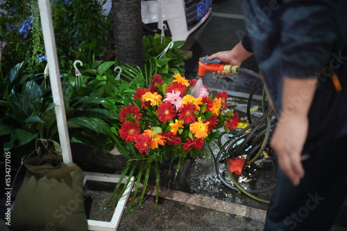woman with flowers