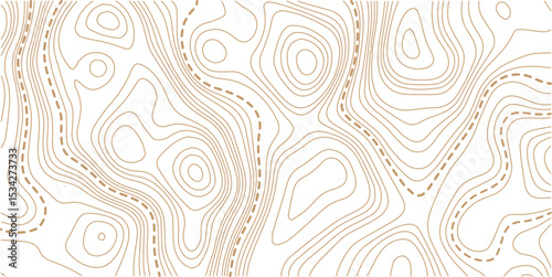 Abstract seamless pattern with lines and stylized height of the topographic contour in lines and topo graphic map design. Topology, Cartography or terrain path concept