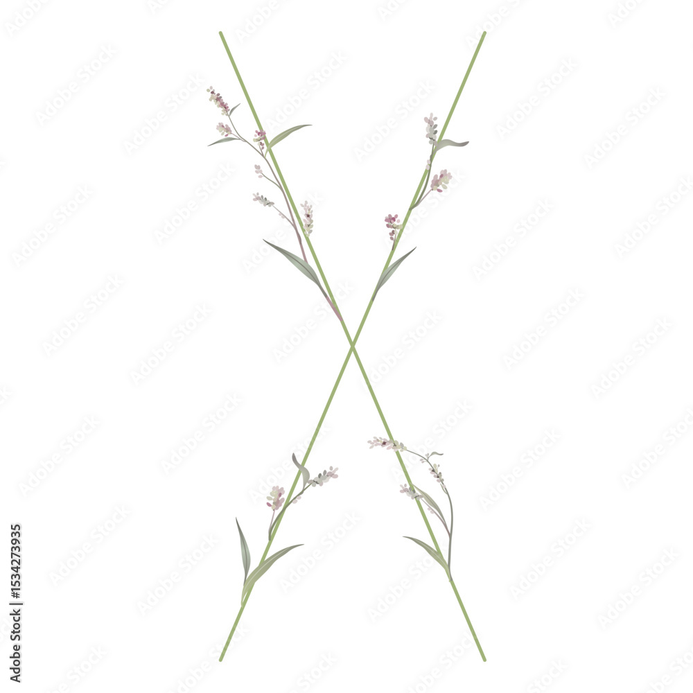 Fototapeta premium Capital letter X with floral motifs. Botanical alphabet with herbs and wildflowers. Blooming green branches of Polygonum plant. Knotweed or Smartweed flower. Isolated on white background.