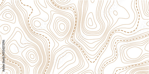 Abstract seamless pattern with lines and stylized height of the topographic contour in lines and topo graphic map design. Topology, Cartography or terrain path concept