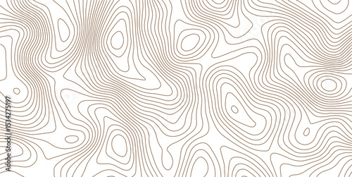 
Abstract topo contour map on white background, Topographic map, Topographic contour lines map seamless pattern. Geographic mountain relief diagram line wave carve pattern.