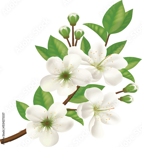 Vibrant spring flower surrounded by lush green leaves, celebrating renewal, growth, and colorful seasonal charm.