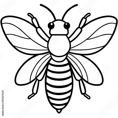 Geometric Bee Outline Vector