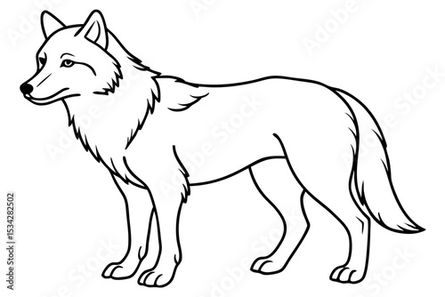 Lone Wolf Line Art