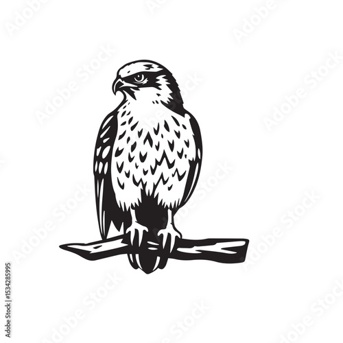Vector art of a vector illustration of a falcon perched on a branch, isolated on white background
