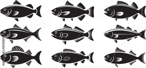 Fish(various species including cod, salmon, and tuna silhouette