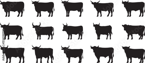 Cow Silhouette vector illustration