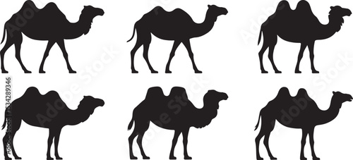 Camels silhouette