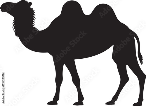 Camels silhouette